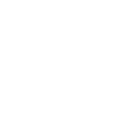 MSP Airport taxi service